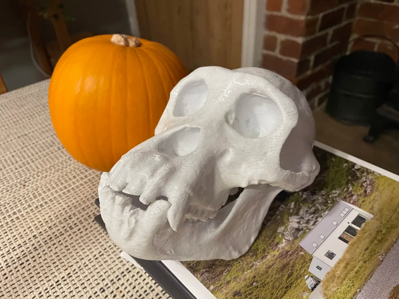 Unfinished white ape skull prop with an open jaw on a workshop table
